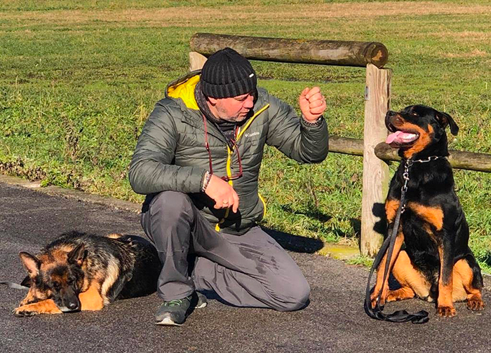 centro-addestramento-cani centro-addestramento-cani